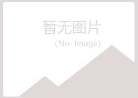 铁法晓夏咨询有限公司